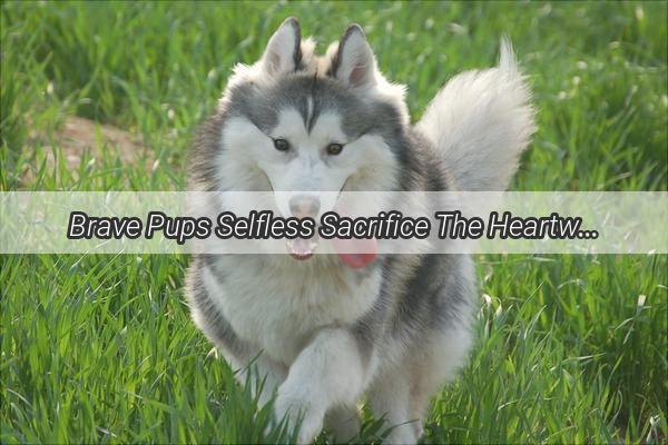 Brave Pups Selfless Sacrifice The Heartwarming Tale of a Dogs Heroism and a Little Girls Tears